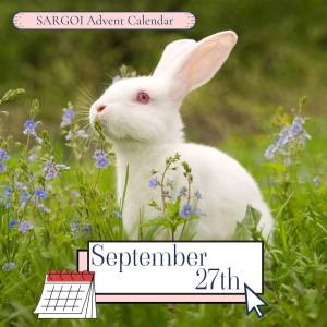 Rabbit Day